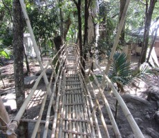 A close view of the bamboo pathway made for skywalk