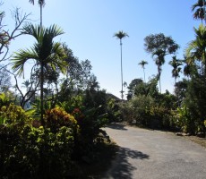 A view of the village