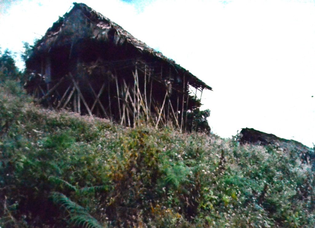 A hill Miri house at the spur of a hillock at Daporya