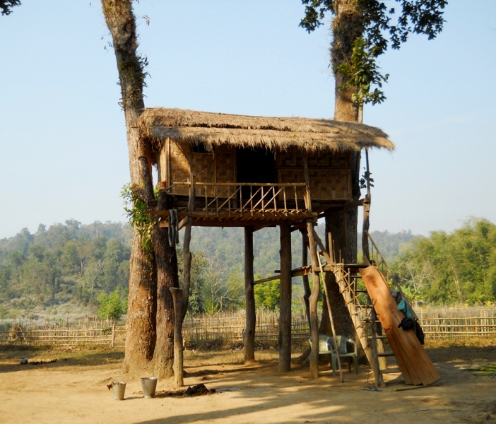 traditional bamboo hut- 'chang ghar'