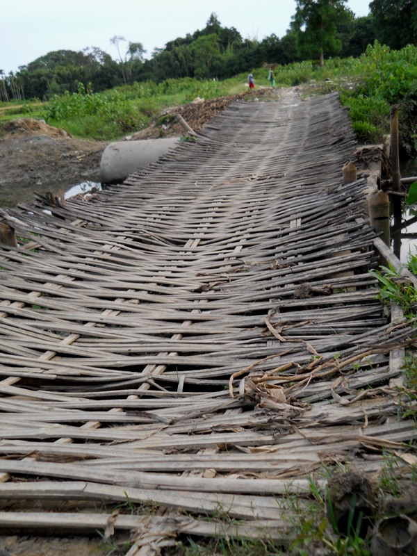 a bamboo bridge