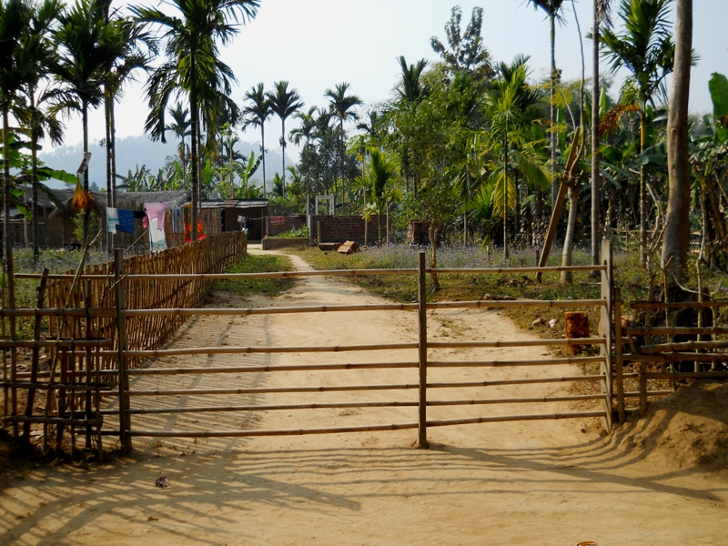 a bamboo gate