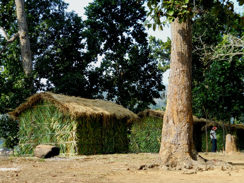 traditional bamboo house