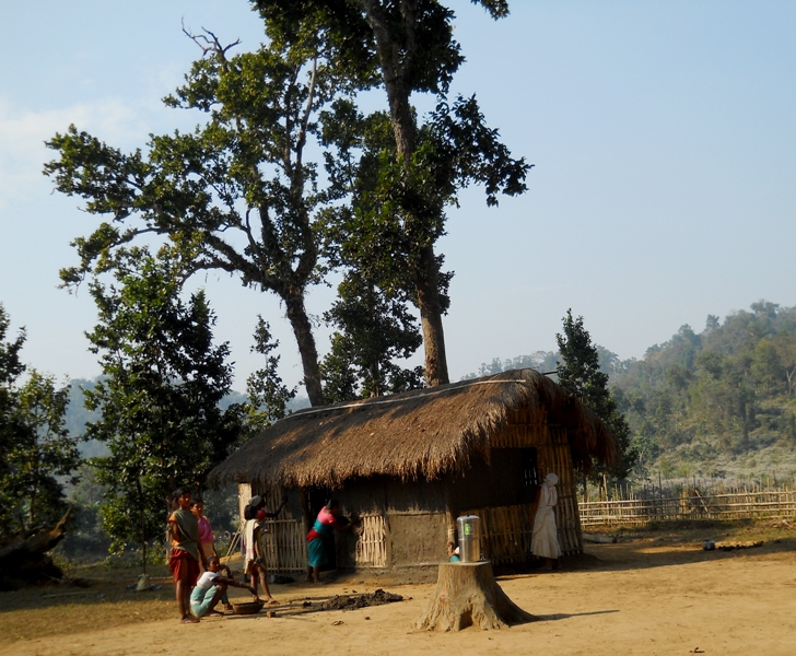 a traditional bamboo house